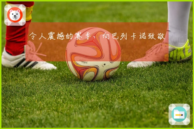 令人震撼的赛季，向巴列卡诺致敬