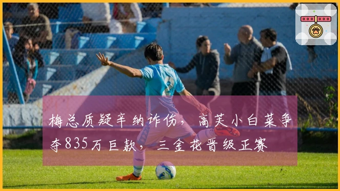 梅总质疑辛纳诈伤，高芙小白菜争夺835万巨款，三金花晋级正赛